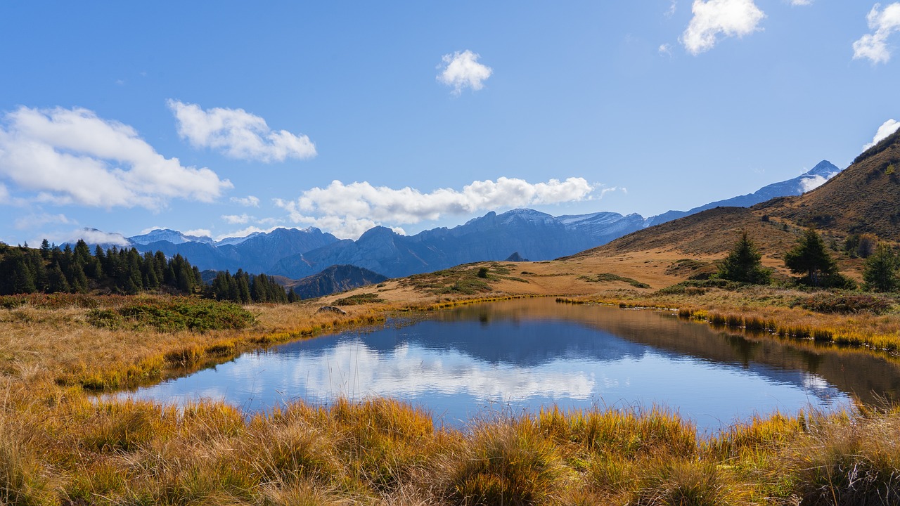 Could Urban Ponds Play a Role in Stormwater Management?